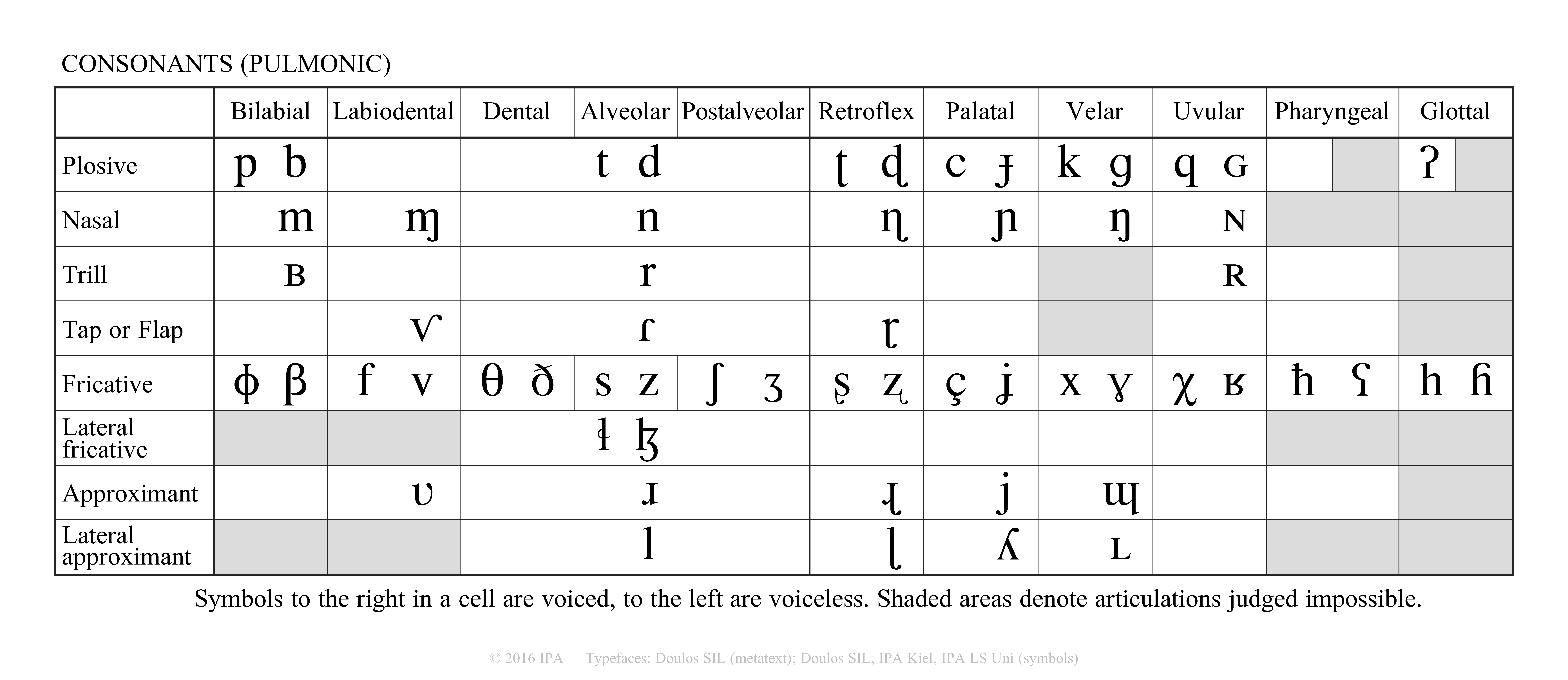 Phonology 101 Consonants Or Let s Make A Sandwich The Historical 